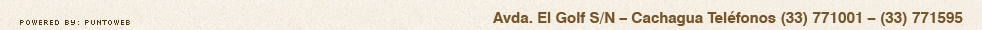 powered_puntoweb