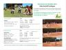 Club Golf Cachagua